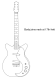 Click to preview Danelectro DC 59 Template