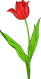 Click to enlarge Tulip Icon Image