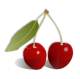 Click to enlarge Cherry Icon Image