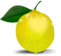 Lemon Icon Image