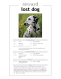 Click to preview Lost Dog Poster Template