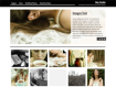Click to preview Web Template for Photographer WordPress